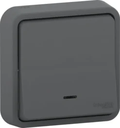 Poussoir Inverseur étanche, Lumineux Mureva Style Gris SCHNEIDER ELECTRIC