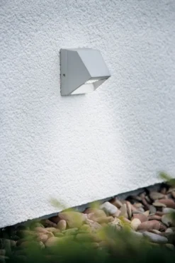 Spot Extérieur LED Intégrée 29 Lm Gris Saillie Ip44 Mural PAULMANN