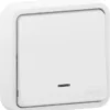 Poussoir étanche à Voyant, Lumineux Mureva Style Blanc SCHNEIDER ELECTRIC