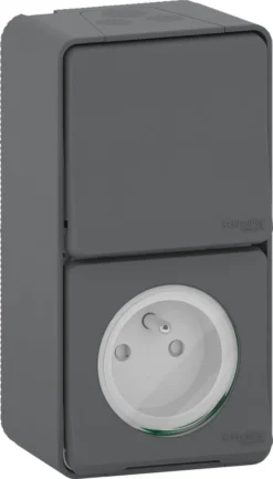 Interrupteur Va-et-vient+prise Terre étanche Mureva Style SCHNEIDER ELECTRIC
