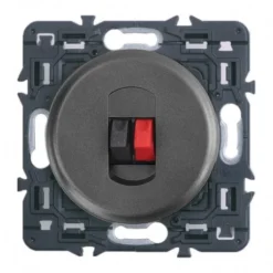 Legrand Céliane – Prise Haut -Parleur Simple – Ensemble Graphite à Griffes