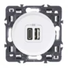 Legrand Céliane – Prise Double Chargeur USB – Type-A Et C – Ensemble Blanc à Composer