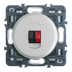 Legrand Céliane – Prise Haut -Parleur Simple – Ensemble Titane à Griffes – à Composer