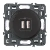 Legrand Céliane – Prise Double Chargeur USB – Ensemble Graphite à Griffes – à Composer