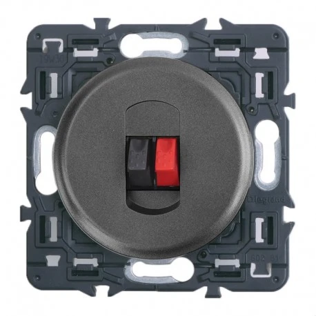 Legrand Céliane – Prise Haut -Parleur Simple – Ensemble Graphite à Griffes 1 Legrand Céliane – Prise Haut -Parleur Simple – Ensemble Graphite à Griffes
