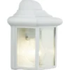 Applique Extérieure E27 Max 60W Blanc Newport BRILLIANT