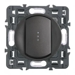 Legrand – Va Et Vient Simple Lumineux 10A – Ensemble Graphite à Composer