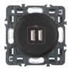 Legrand – Prise Double Chargeur USB – Ensemble Graphite à Composer