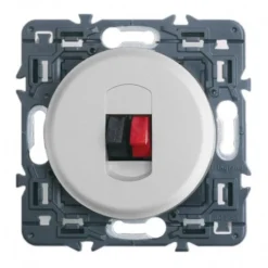 Legrand – Prise Haut -Parleur Simple – Ensemble Titane à Composer